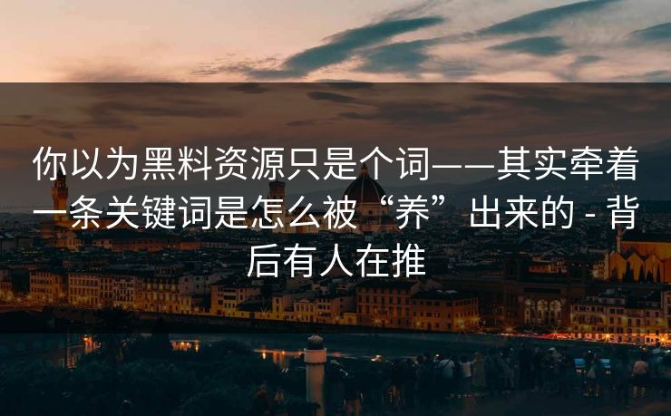 你以为黑料资源只是个词——其实牵着一条关键词是怎么被“养”出来的 - 背后有人在推