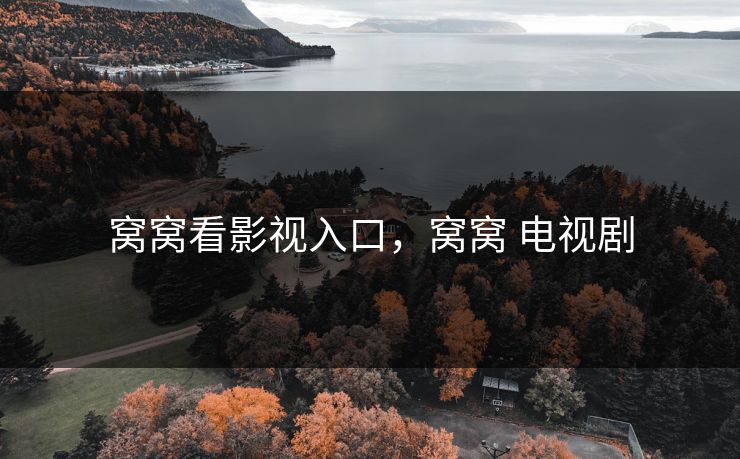 窝窝看影视入口，窝窝 电视剧
