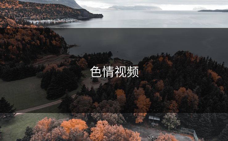 色情视频