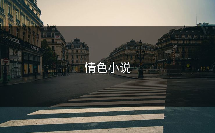 情色小说