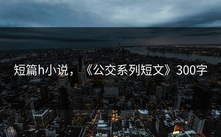 短篇h小说，《公交系列短文》300字