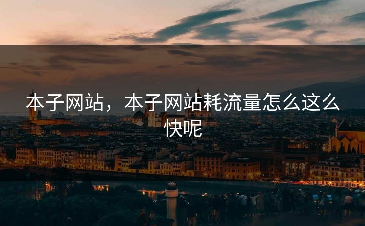 本子网站,本子网站耗流量怎么这么快呢 本子网站,本子网站耗流量怎么这么快呢